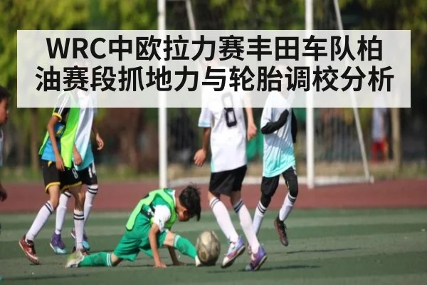 WRC中欧拉力赛丰田车队柏油赛段抓地力与轮胎调校分析